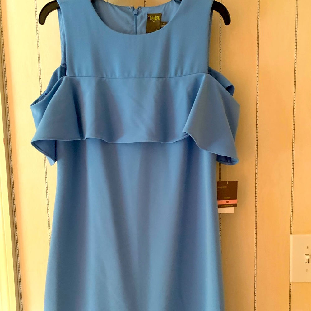 Taylor dress (Nordstrom) size 10 NWT